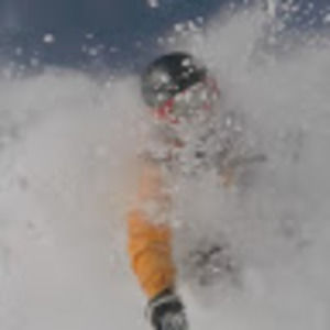 Meet your Posher, Connor